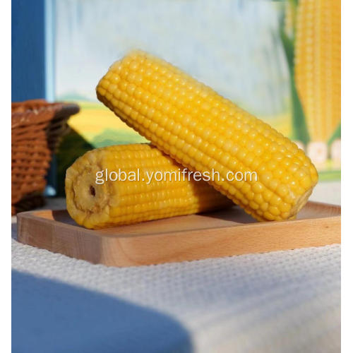 Waxy Corn Instant Pot Corn On The Cob Factory